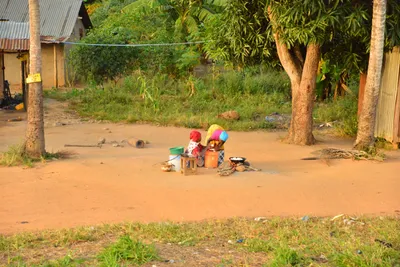 DSC_4309 (Large).JPG